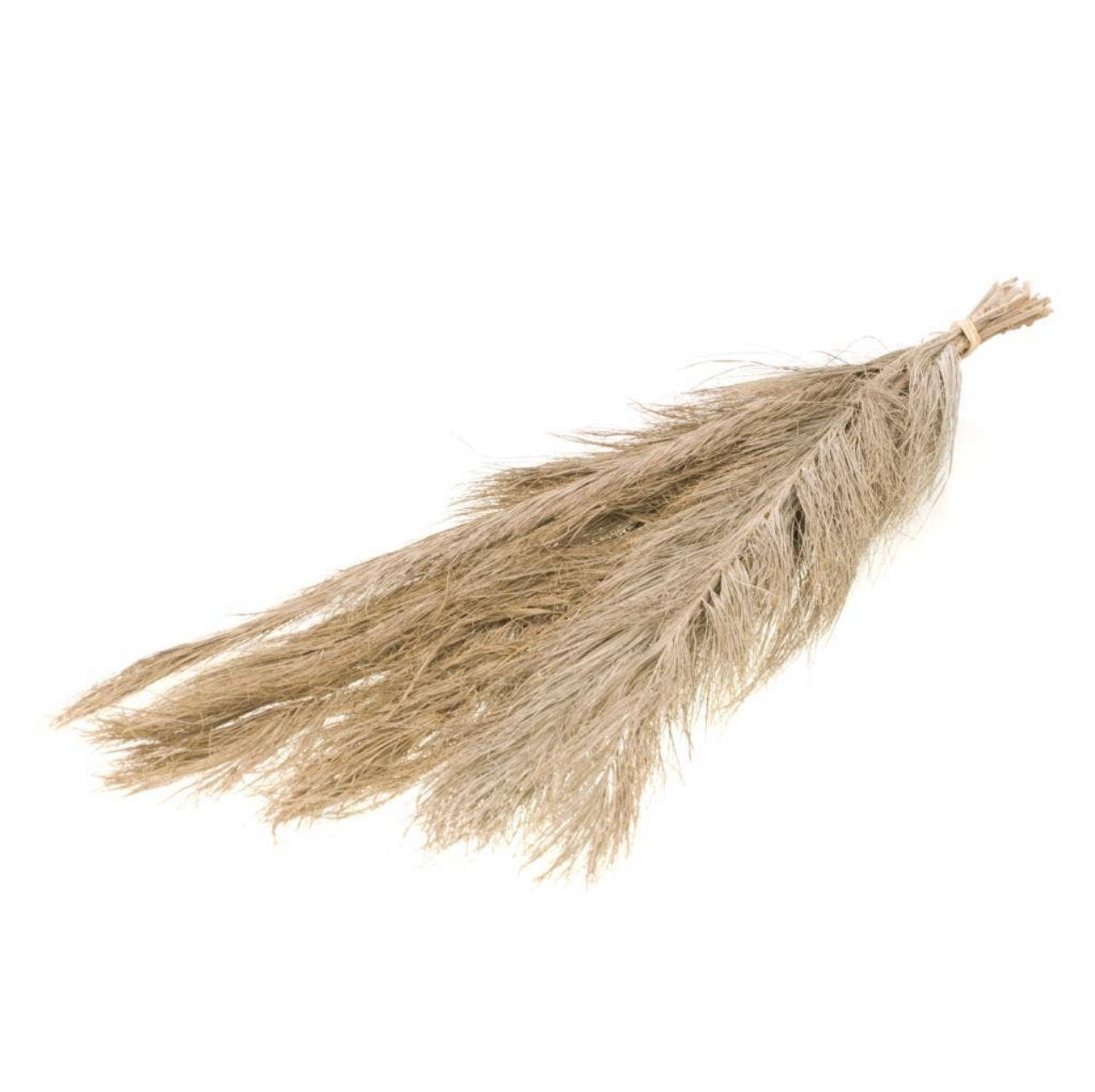 Filler - Green Twizzle Palm Leaf