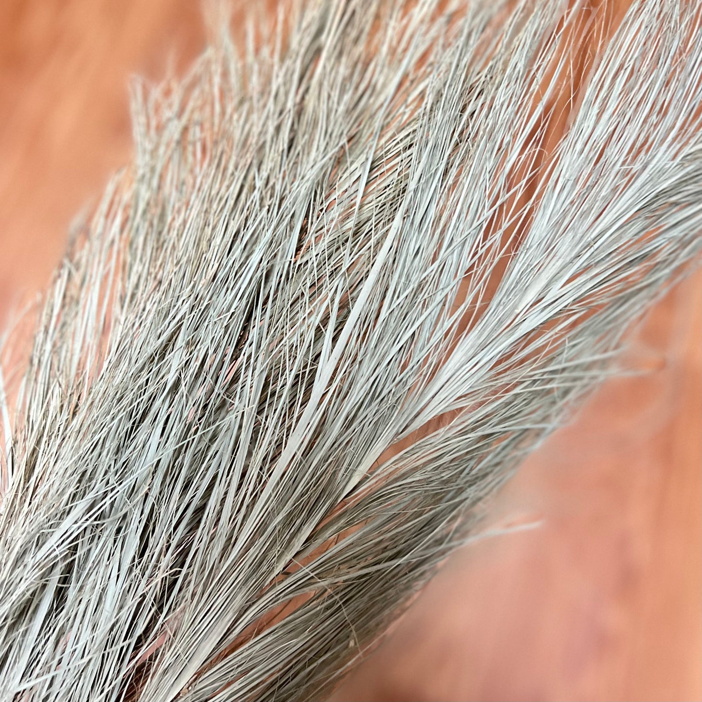 Filler - Green Twizzle Palm Leaf