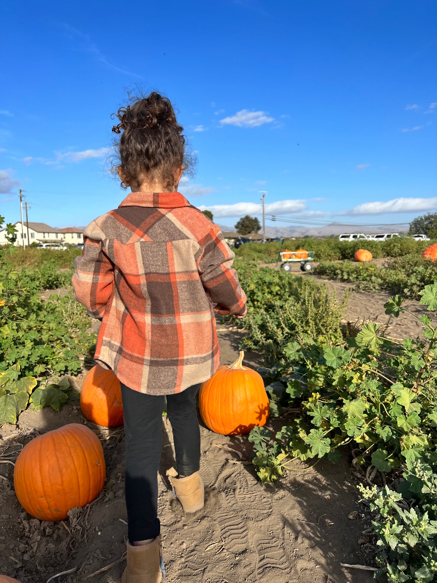 Maddie Girl - Orange Plaid Button Up