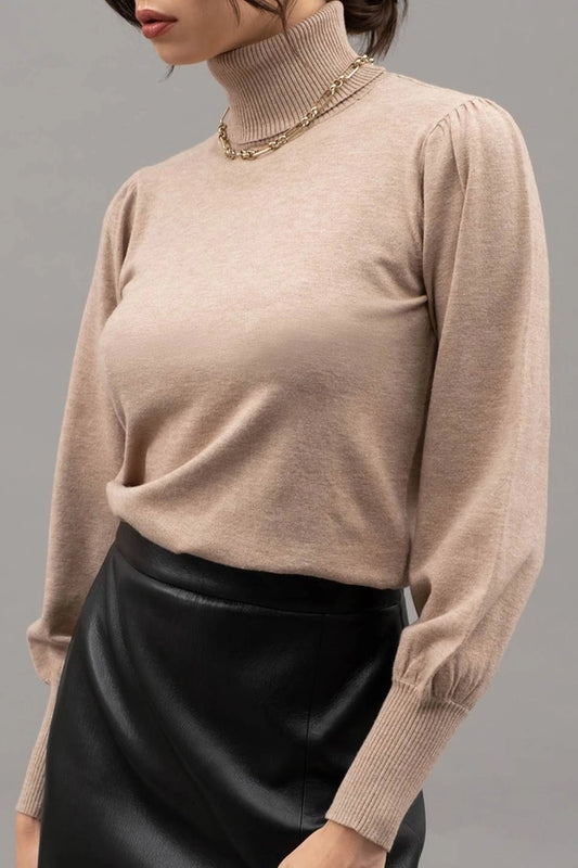 Taupe High Turtle Neck