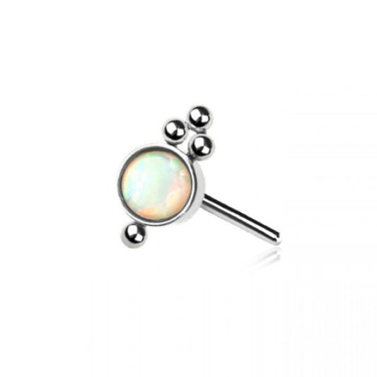 Orbit Titanium Flat Back Labret