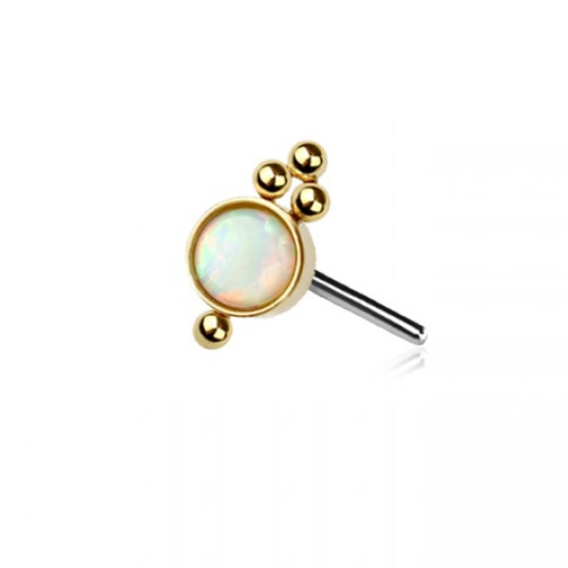 Orbit Gold Flat Back Labret