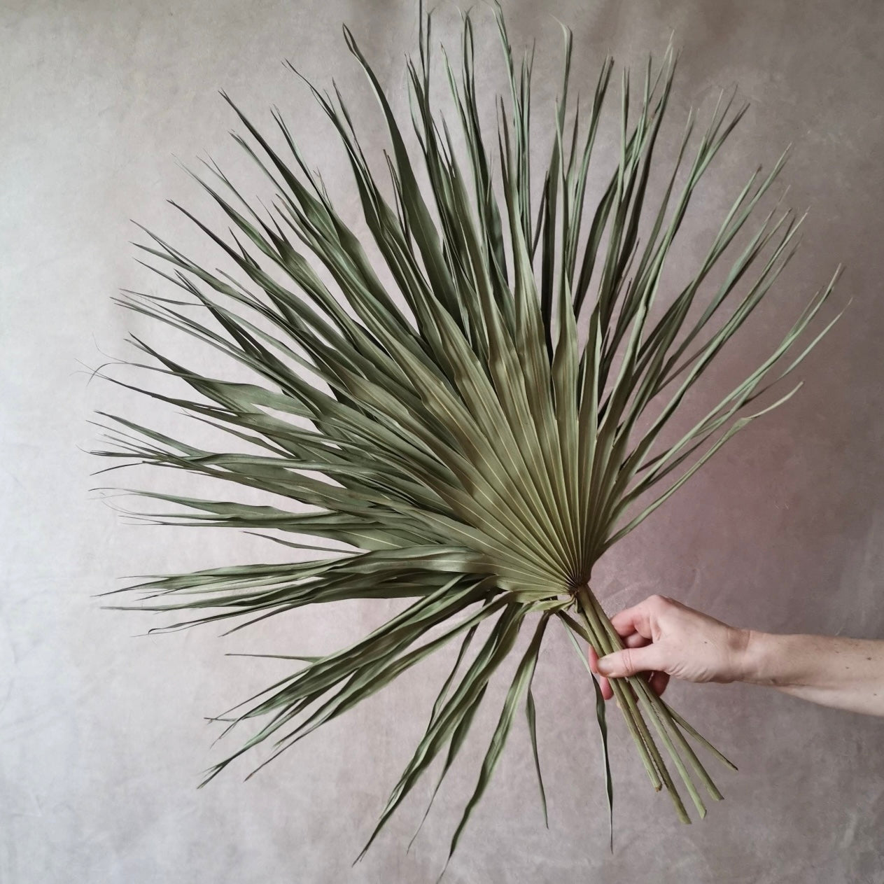 Filler - Natural Dried Green Palm Leaf