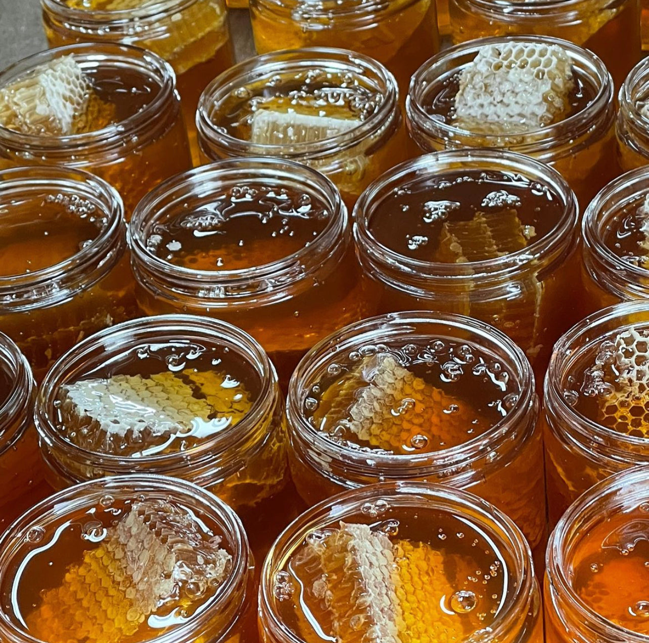 MJ Bee Farms Chunk Honey